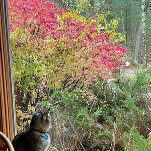 Meet your Posher, Pamela